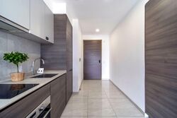 The Florence Residences (D19), Apartment #557519551